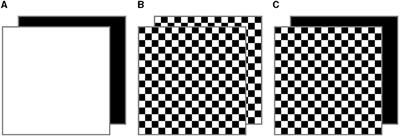 Influence of spatial frequency in visual stimuli for cVEP-based BCIs: evaluation of performance and user experience